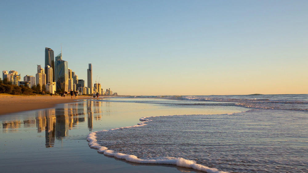 Meta Ads Management Gold Coast
