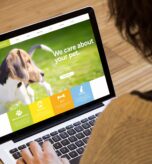 website image