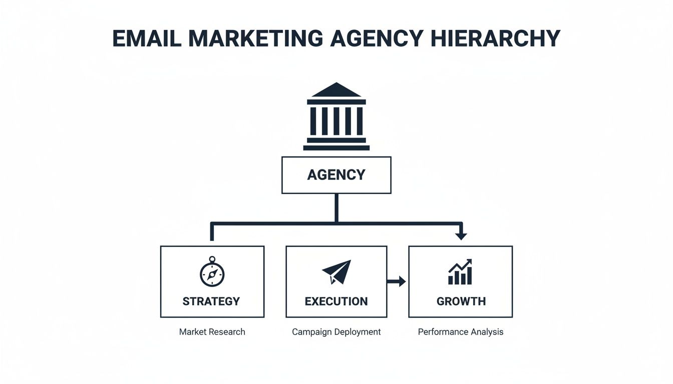 Hierarchy diagram of an email marketing agency, outlining strategy, execution, and growth phases.